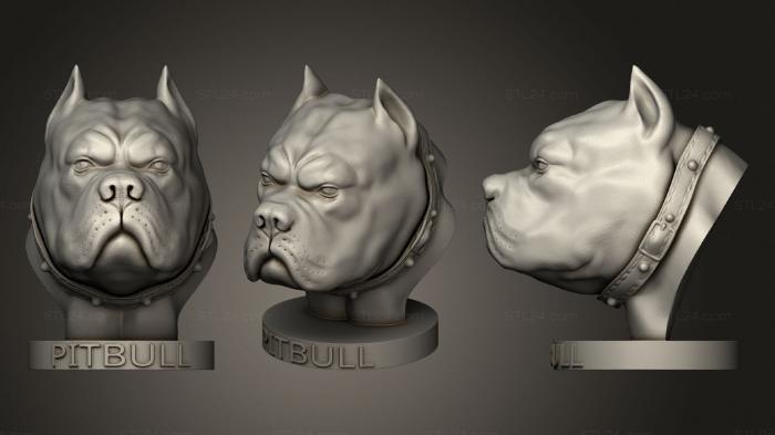 Busts of heroes and monsters (PITBULL, BUSTH_1597) 3D models for cnc